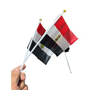 دسته علم مصر 100 علم