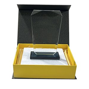 درع كريستال 14.5*9